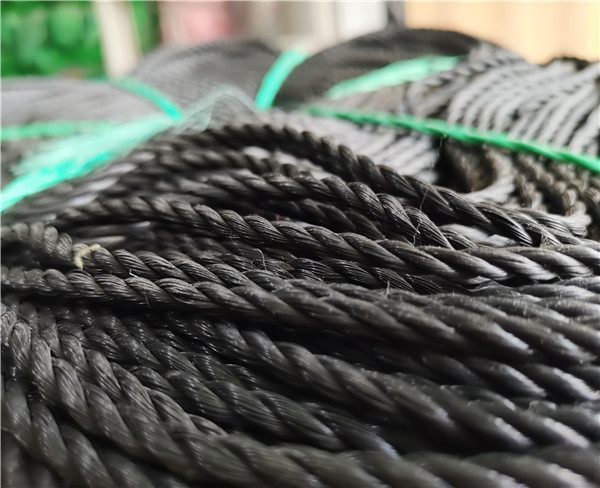 聚丙烯黑色塑膠繩