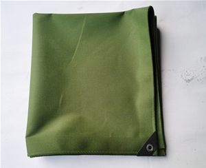 有機(jī)硅掛膠帆布