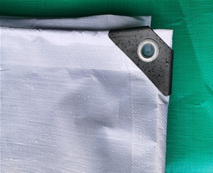 200gPE雙透白塑編篷布